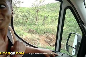 i can't resist my cute ebony girlfriend's deep road head on african safari pov
