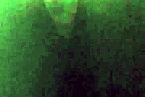 ebony babe spreads huge ass and asshole outdoors publicly