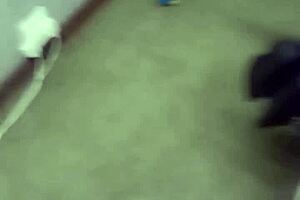 Black Skinny Schoolgirl Sucks Stepdaddy's Big Cock Hard