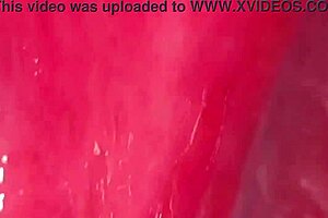 virgin girlfriend's shaved pussy proof for new year cunilingus close-up worldwide homemade request