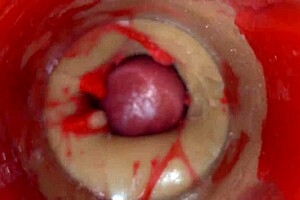 deep thrusts fill her with cum no trace left behind