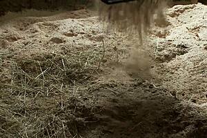 every woman hides slut waiting domination terajoy first porn