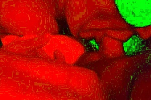 bbw wife is a cock whore in red light video session