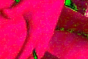 screams moans conversations nymphomaniac loves deep penetration
