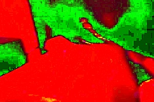 red hot amateur blow job close up view