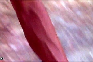 Vayana french babe anal scene