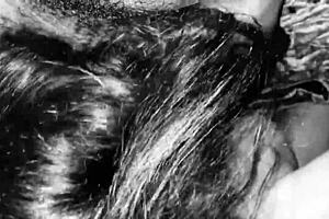 Shemale noir adventures