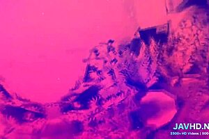 This compilation shows true asian anal scenes in high definition