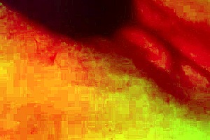 i played with my vibrator solo until i orgasmed